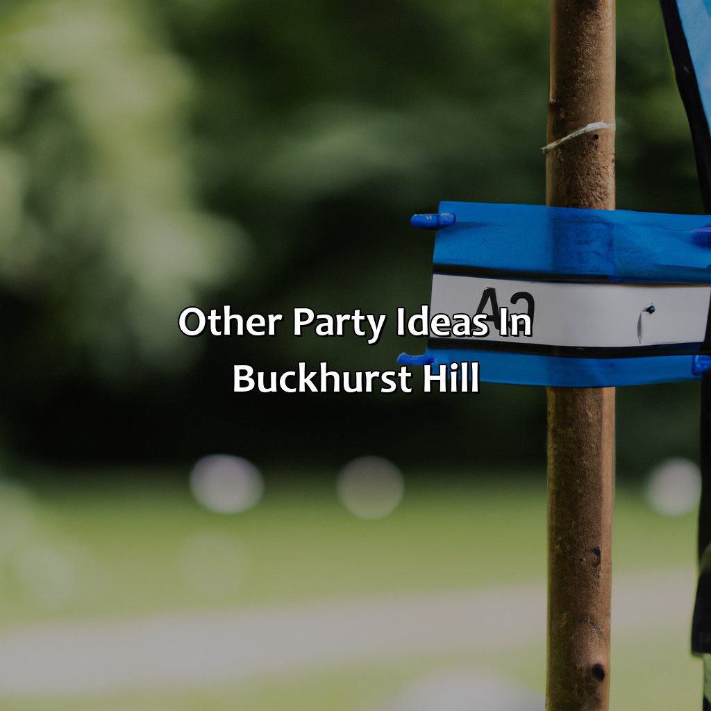 Other Party Ideas In Buckhurst Hill  - Archery Tag, Bubble And Zorb Football, And Nerf Parties In Buckhurst Hill, 