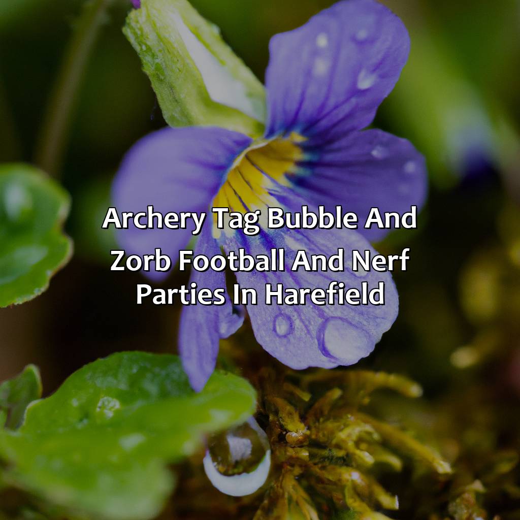 Archery Tag, Bubble and Zorb Football, and Nerf Parties in Harefield,