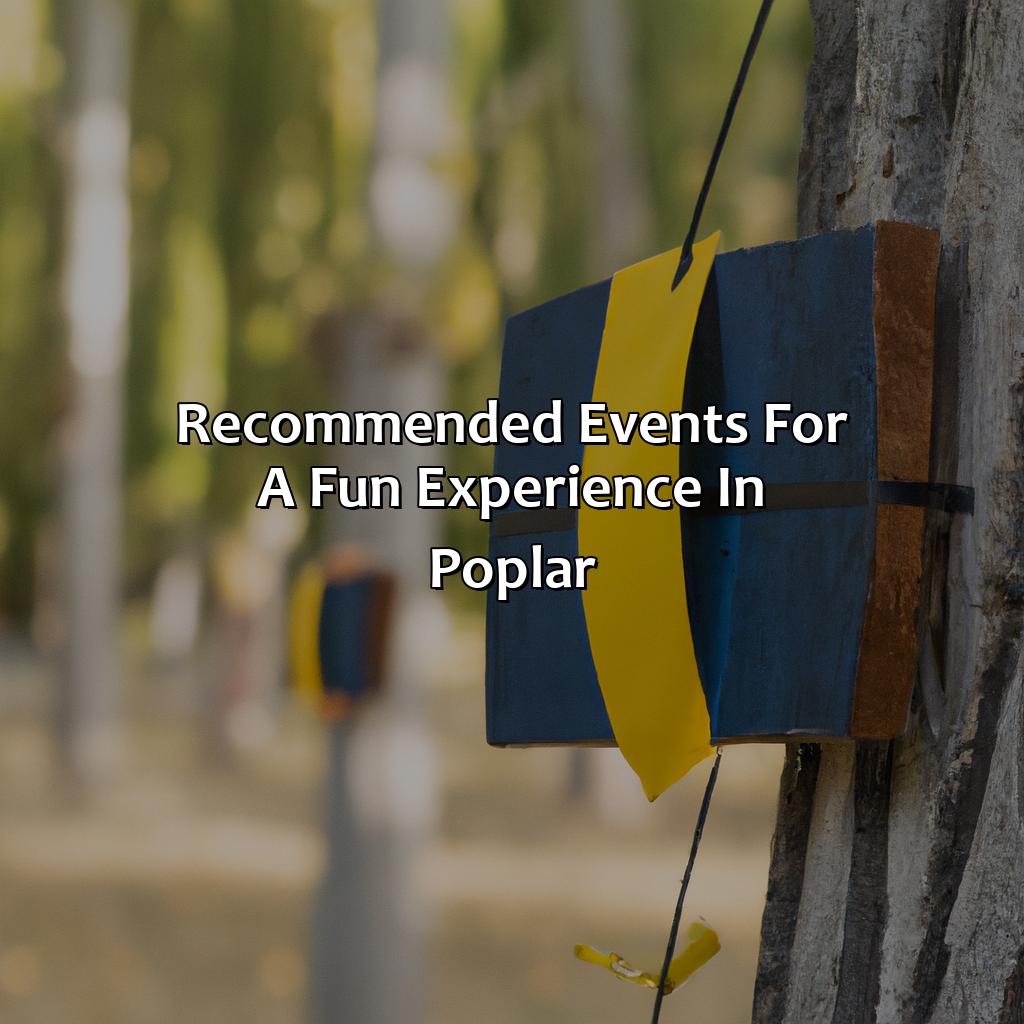 Recommended Events For A Fun Experience In Poplar  - Archery Tag, Bubble And Zorb Football, And Nerf Parties In Poplar, 