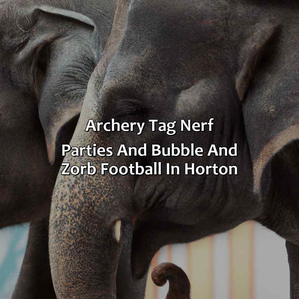 Archery Tag, Nerf Parties, and Bubble and Zorb Football in Horton,